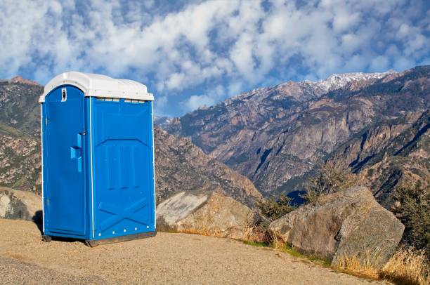 Best Sanitation services for porta potties  in Brockway, PA